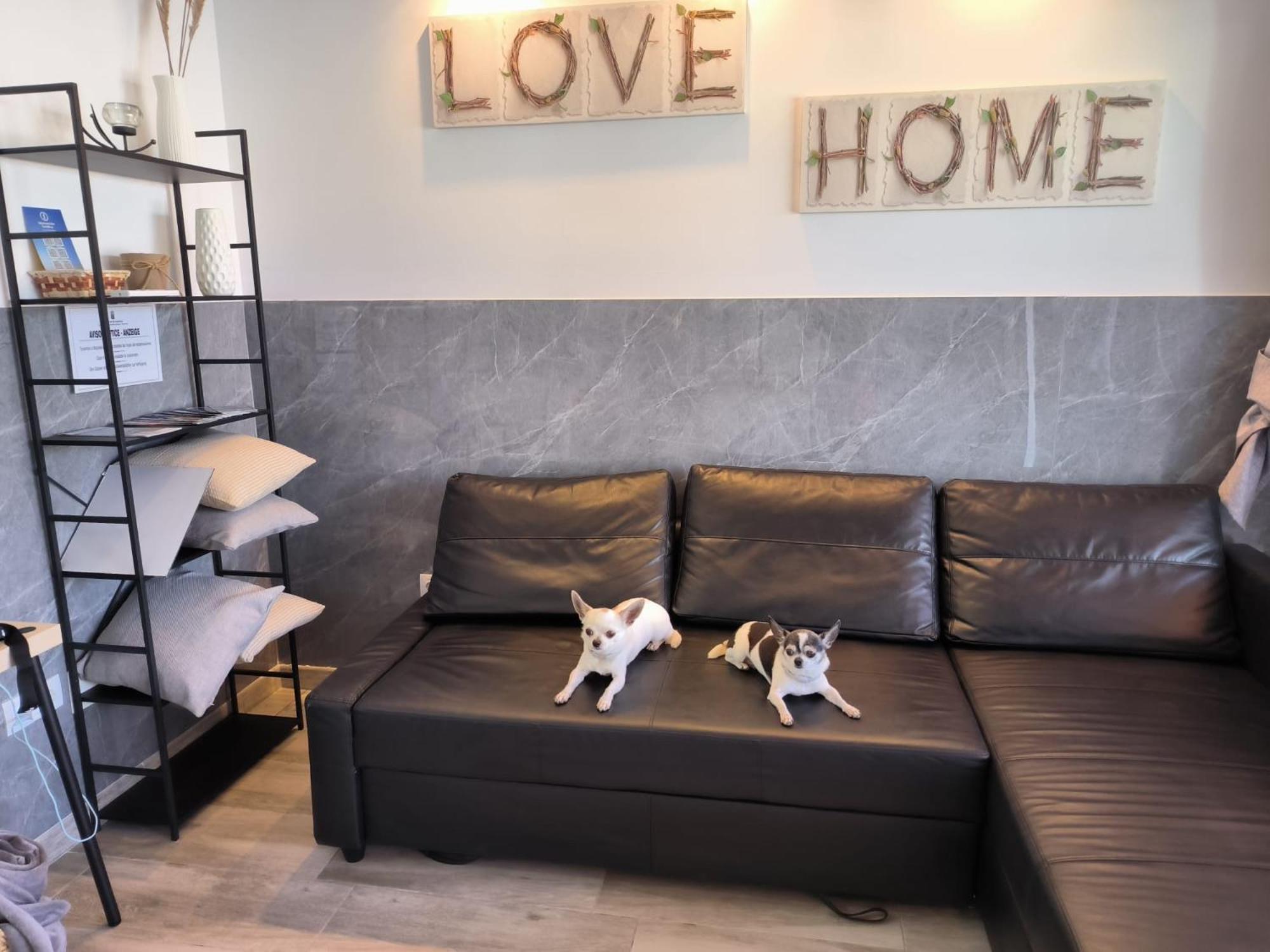 Apartamento Kim House *